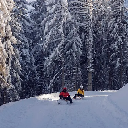 Boutiquehotel Acherl Achenkirch