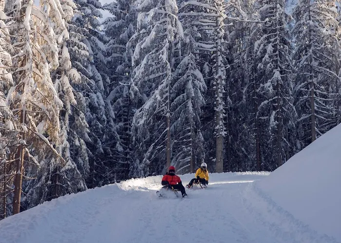 Boutiquehotel Acherl Achenkirch